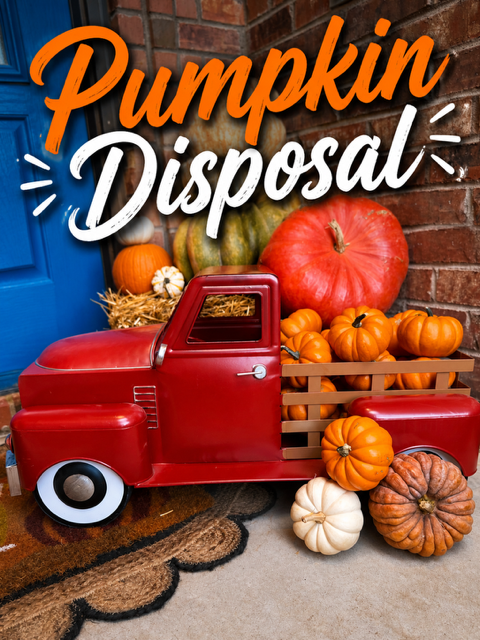 Small Pumpkin Disposal