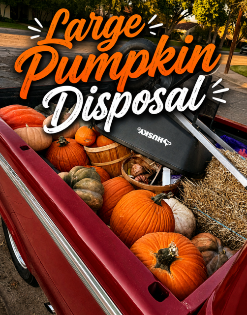 Large Pumpkin Disposal