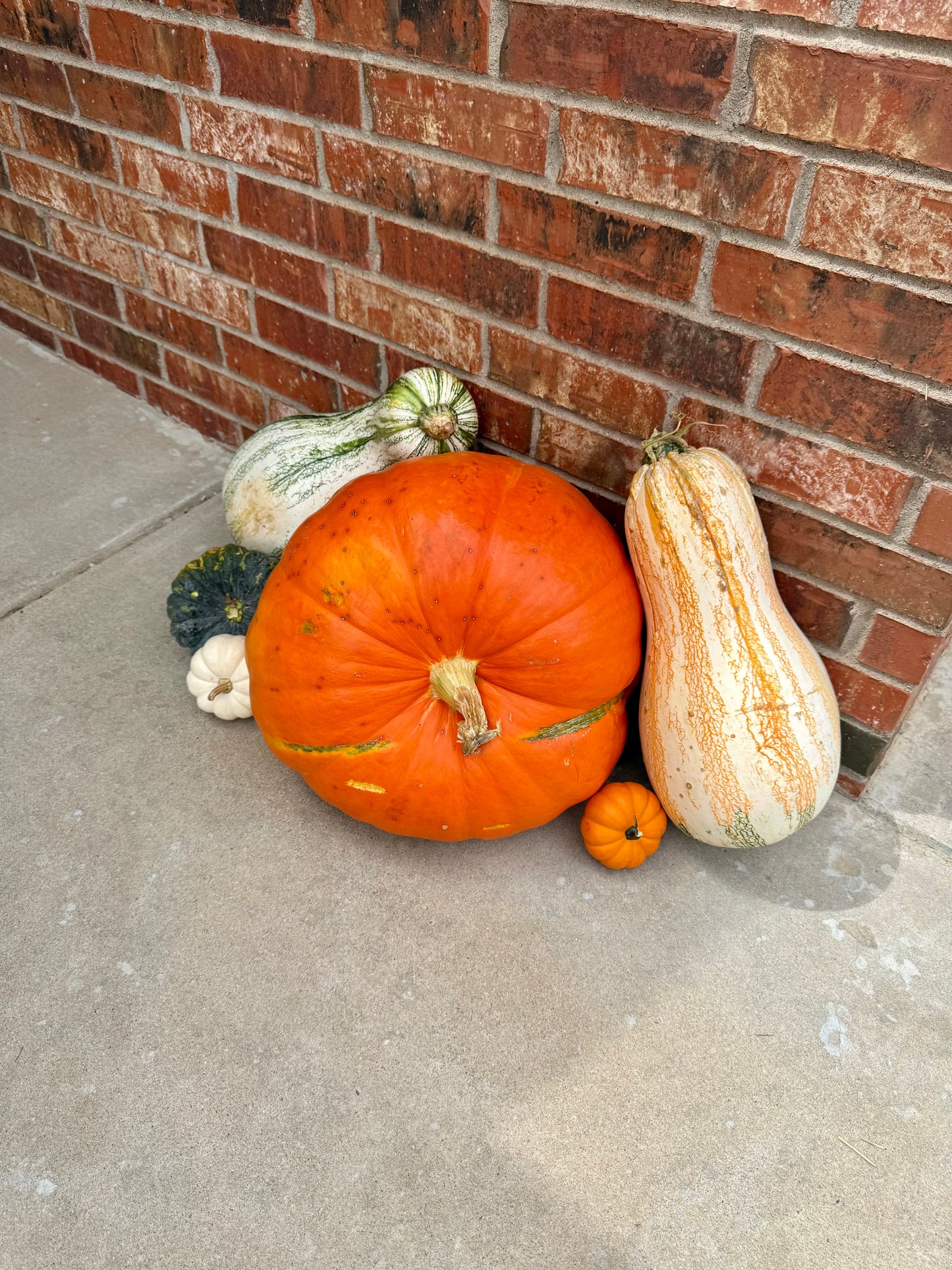 The West Texas Welcome