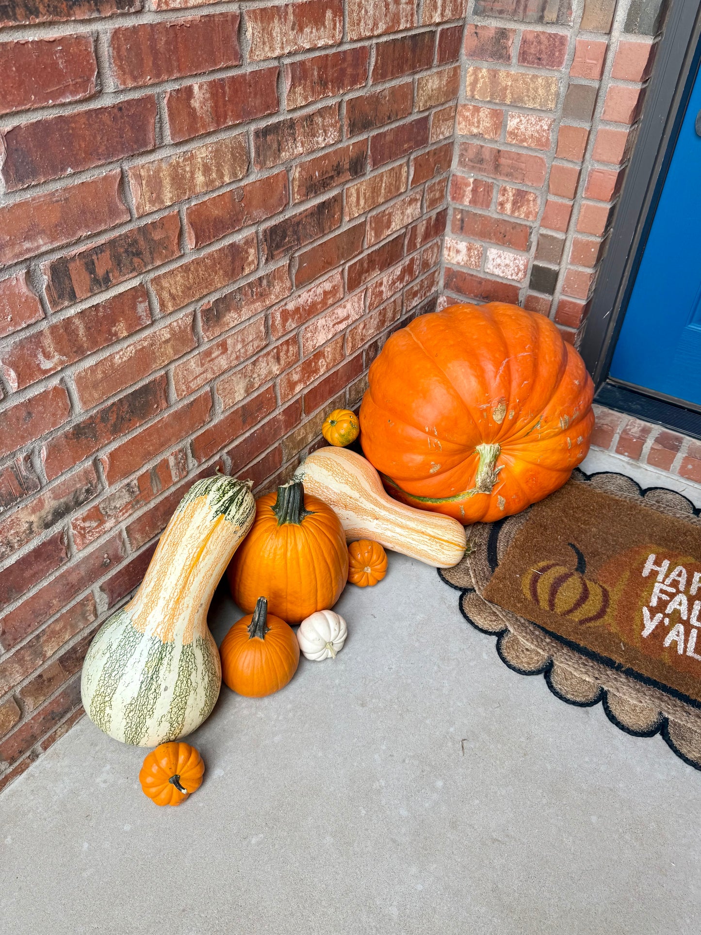 The West Texas Welcome