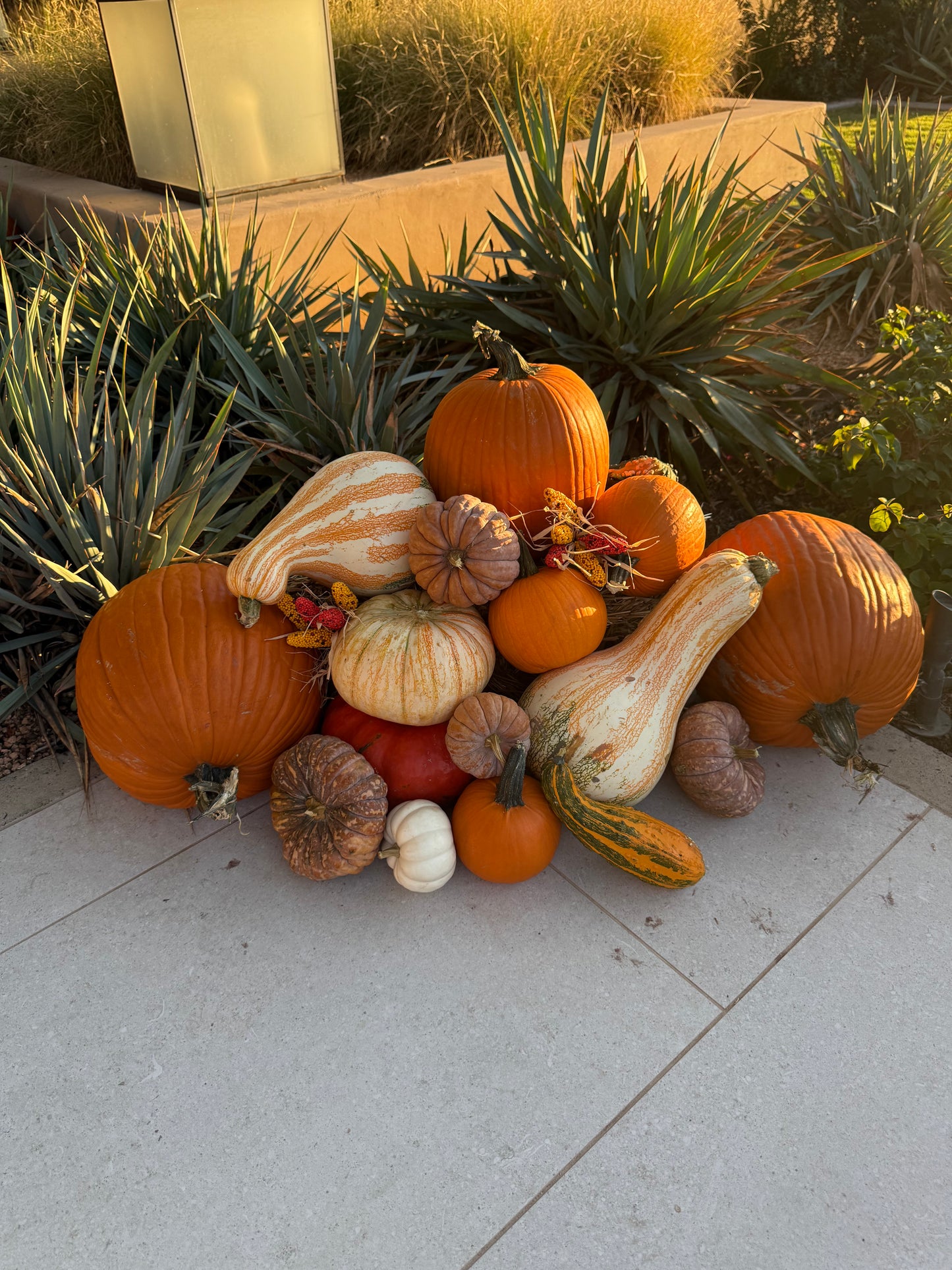 The West Texas Welcome