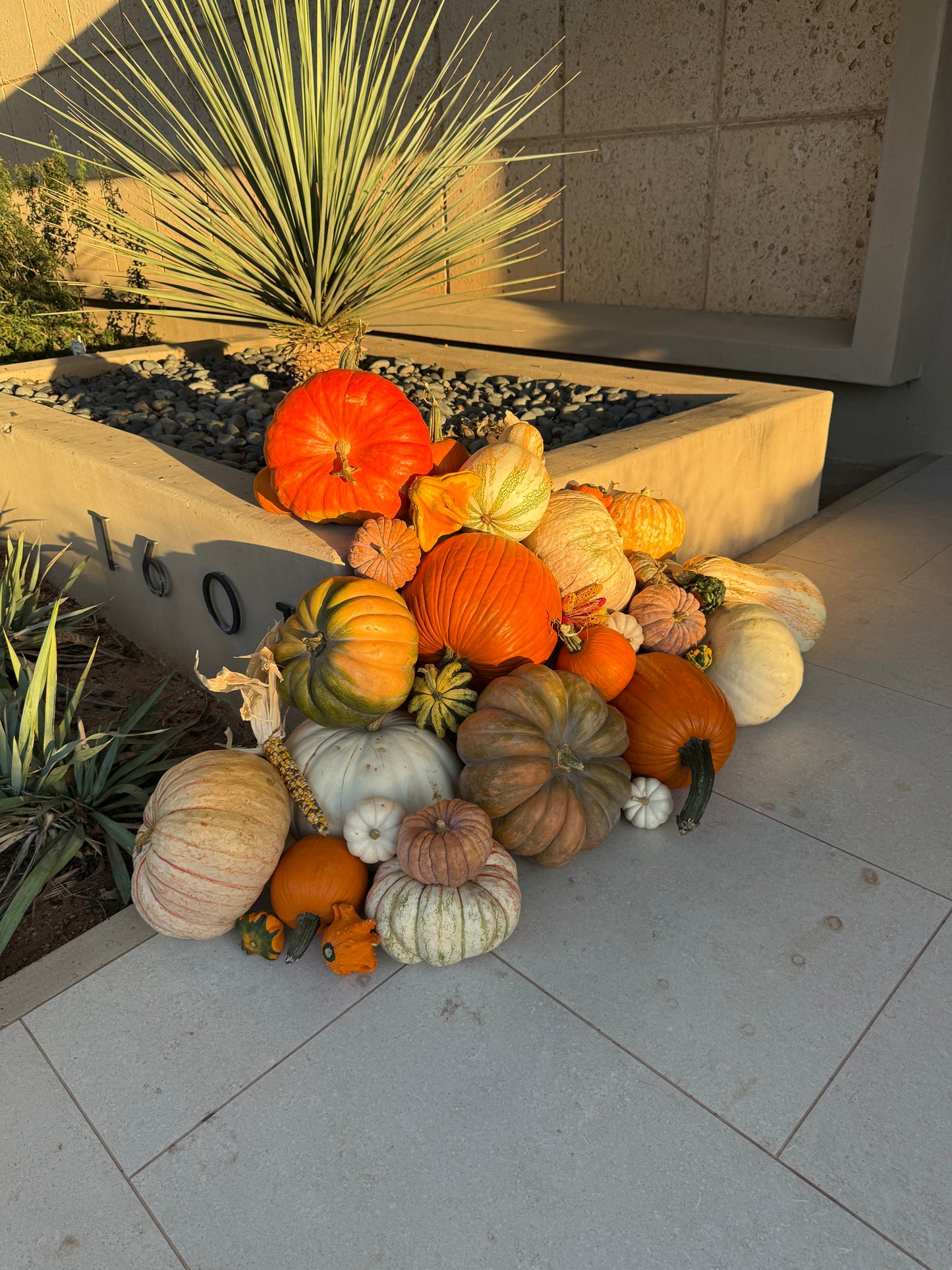 The West Texas Welcome