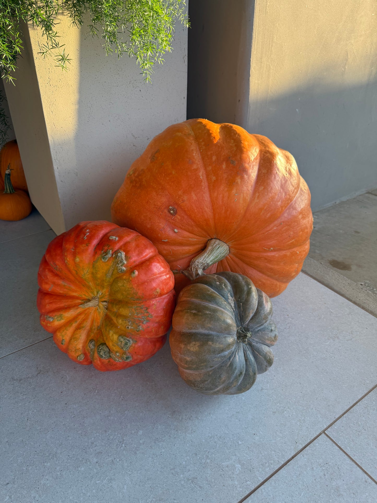 The West Texas Welcome