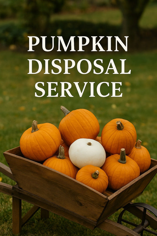 Small Pumpkin Disposal