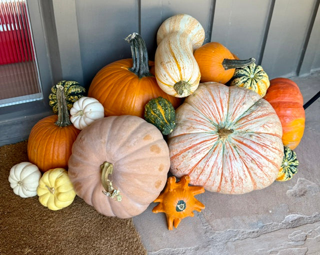 The Autumn Deluxe