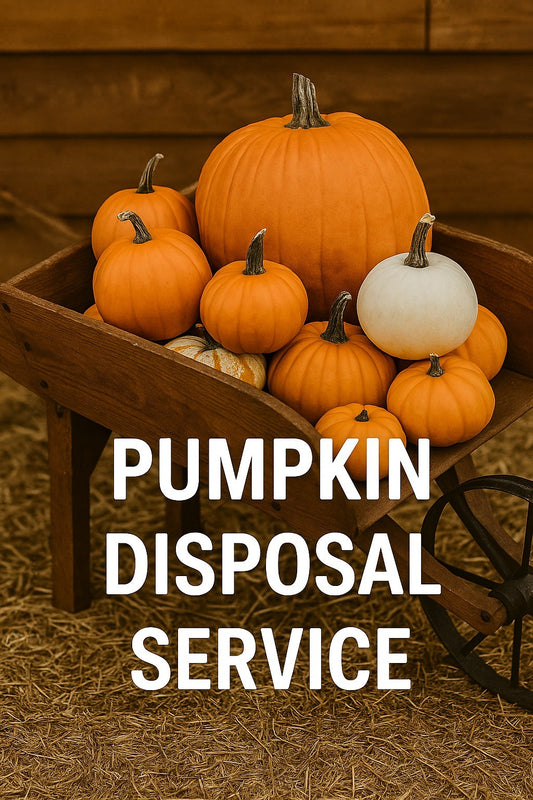 Large Pumpkin Disposal